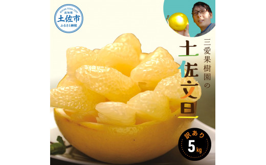 先行予約】【訳あり】三愛果樹園の土佐文旦 約5kg / 土佐文旦 みかん