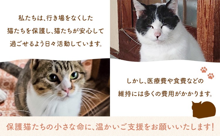 返礼品なし】保護猫支援寄附 一般社団法人オープンセサミアライブ 熊本