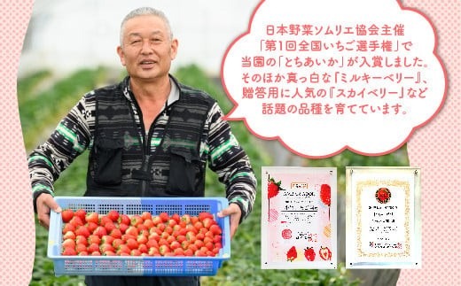 数量限定》新旧2種食べ比べセット（とちおとめ、とちあいか） 270g×2