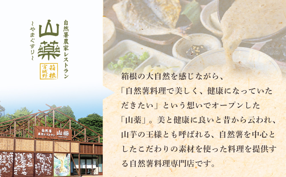 お店の味をご家庭で。【箱根自然薯の森 山薬】自然薯セット(2～3人前×2