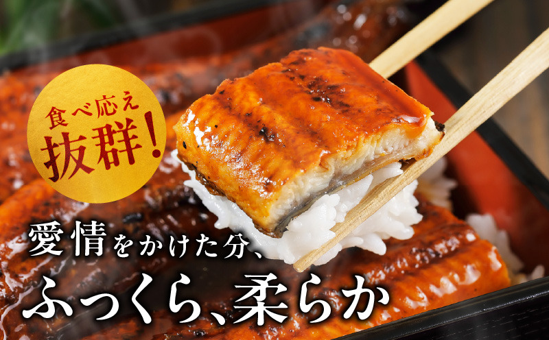 鰻楽　国産　上うなぎ 3尾 480g以上 鰻楽 国産 上うなぎ 3尾 480g以上 Amazon.co.jp: 鰻楽 国産 鰻