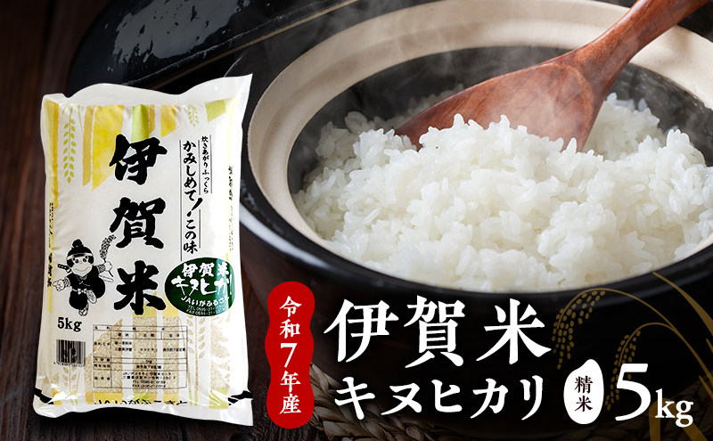 お米 キヌヒカリ 【精米】令和7年産 伊賀米キヌヒカリ 5kg 白米 ごはん
