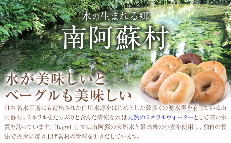 阿蘇の天然水使用 ベーグルセット 7種 10個入 ベーグル・ワン《30日