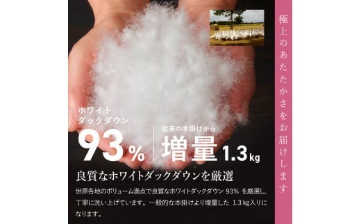 羽毛布団 【数量限定！緊急支援品 訳あり】甲州羽毛ふとん 本掛け布団