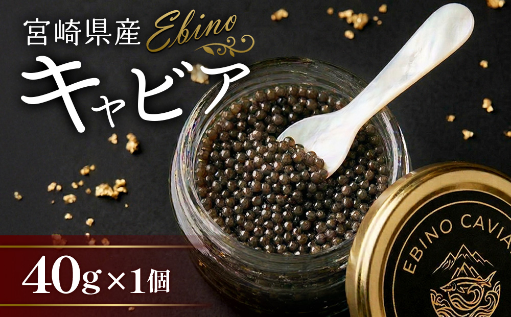 ふるさと納税】キャビア 国産 40g 冷凍 宮崎県 えびの市産（宮崎県