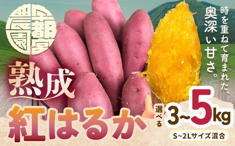 熟成 さつまいも 紅はるか 3kg 5kg S～2L 宇都宮農園《11月上旬-3月末