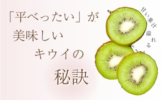 わけあり キウイ 5kg+250g（傷み補償分）扁平果 / 和歌山 家庭用
