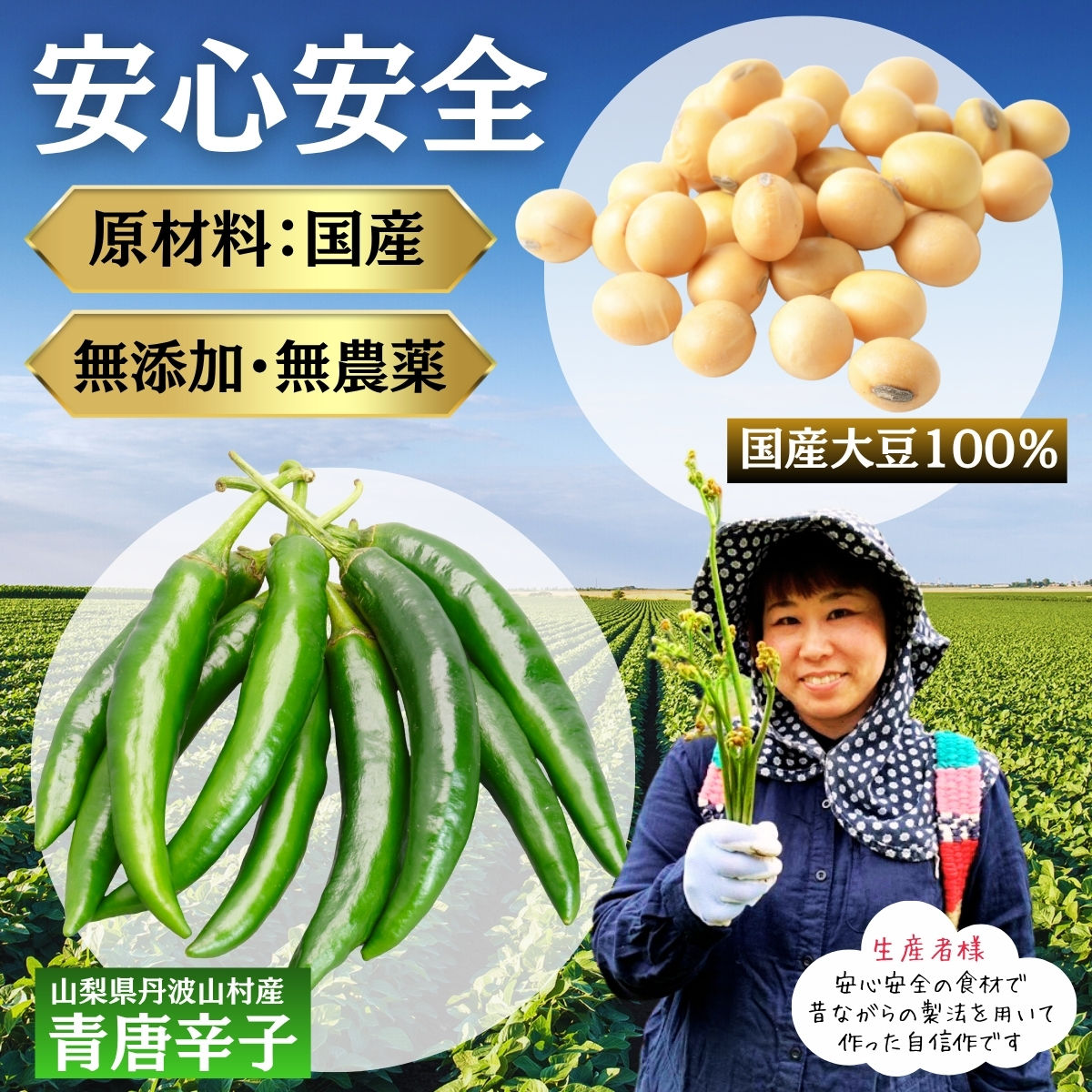 激辛国産青唐辛子味噌 「けつっこわし」 【100g×4本】辛くておいしい