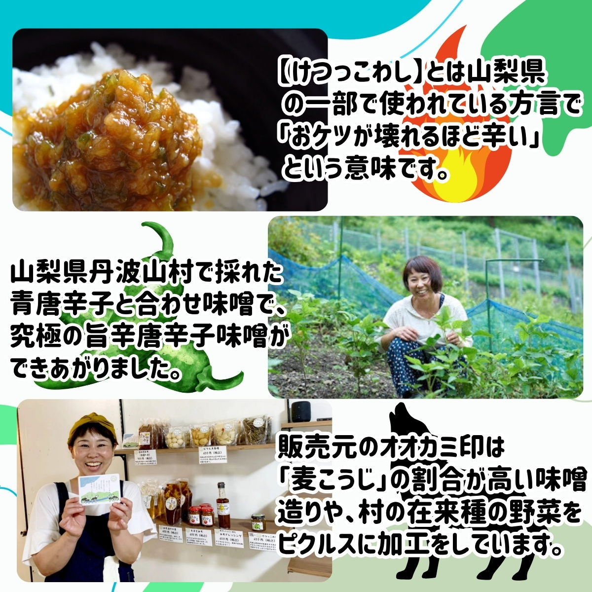 激辛国産青唐辛子味噌 「けつっこわし」 【100g×4本】辛くておいしい
